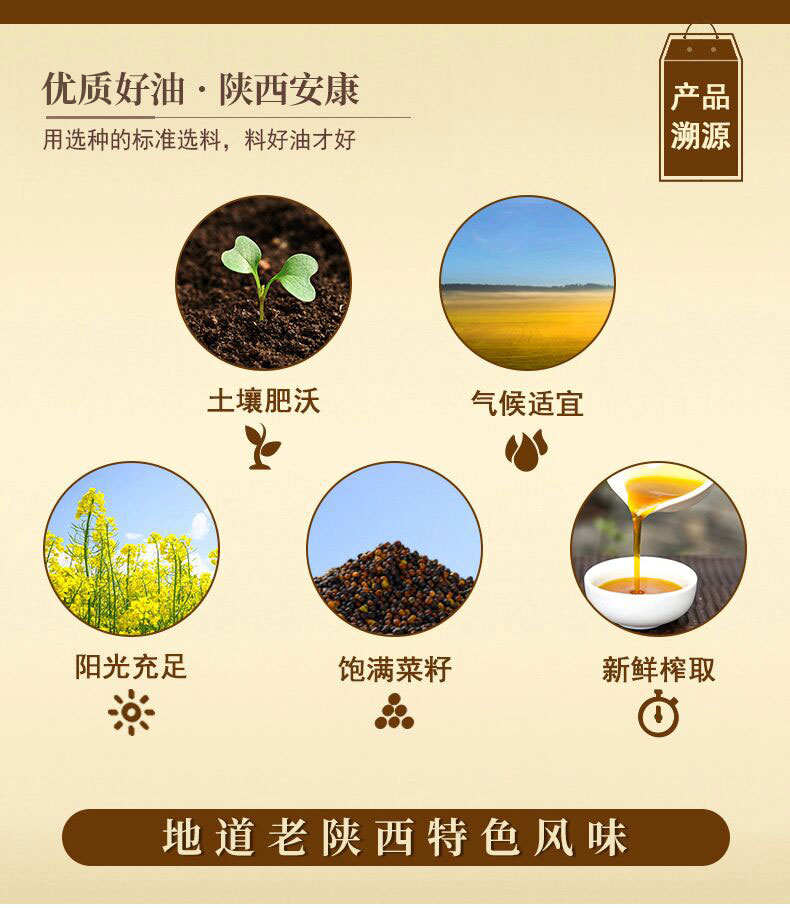 描述4.jpg