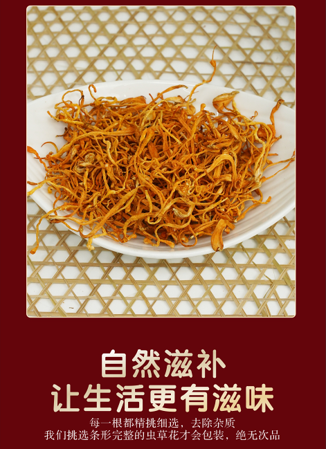 虫草花4.png