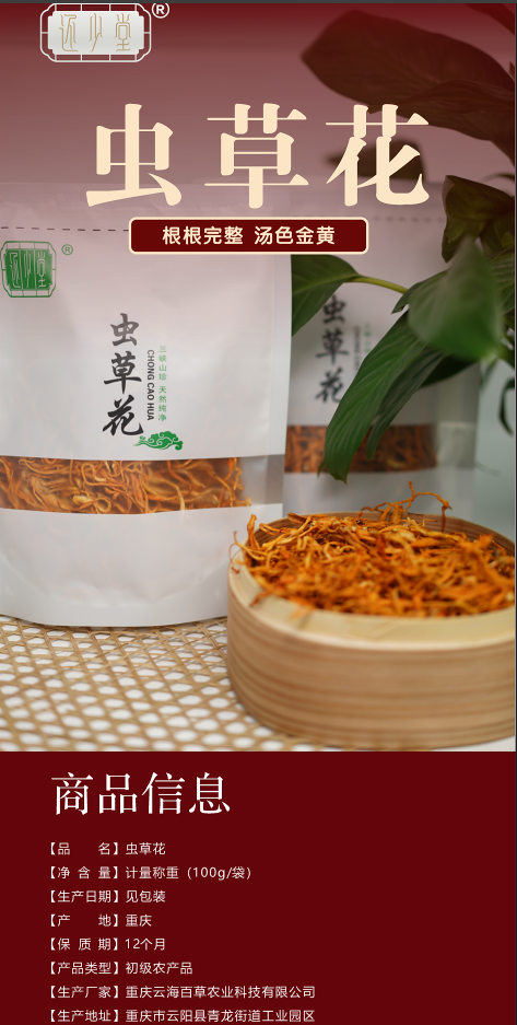 虫草花1.png