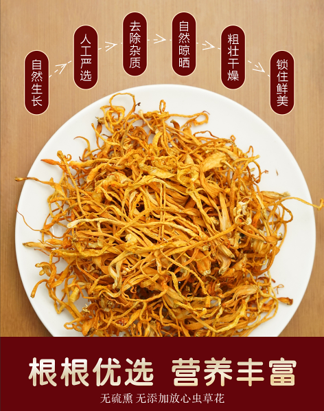 虫草花3.png