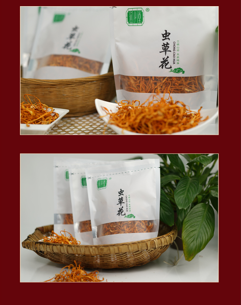 虫草花6.png