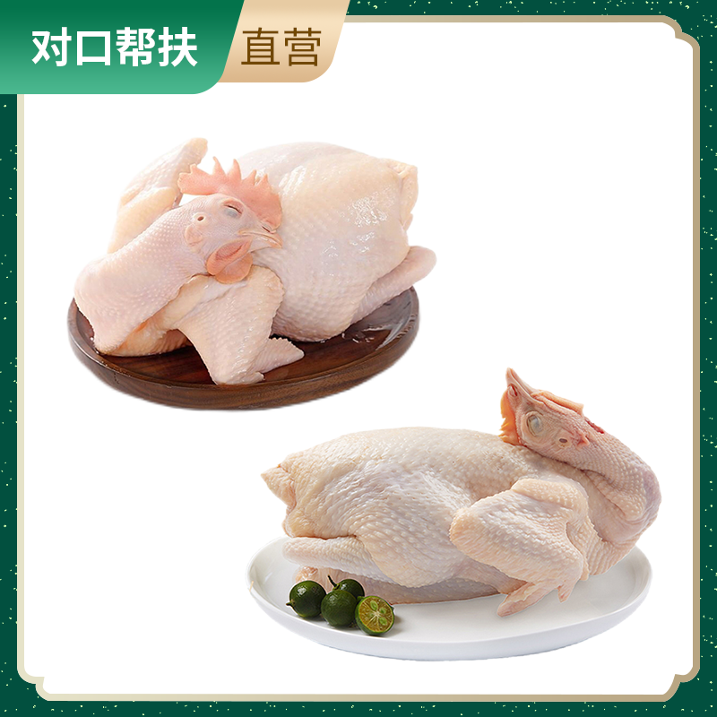 【乡村振兴 · 消费助农 · 产地直发】谷饲喂养自然生态重庆生态跑山鸡组合±100g