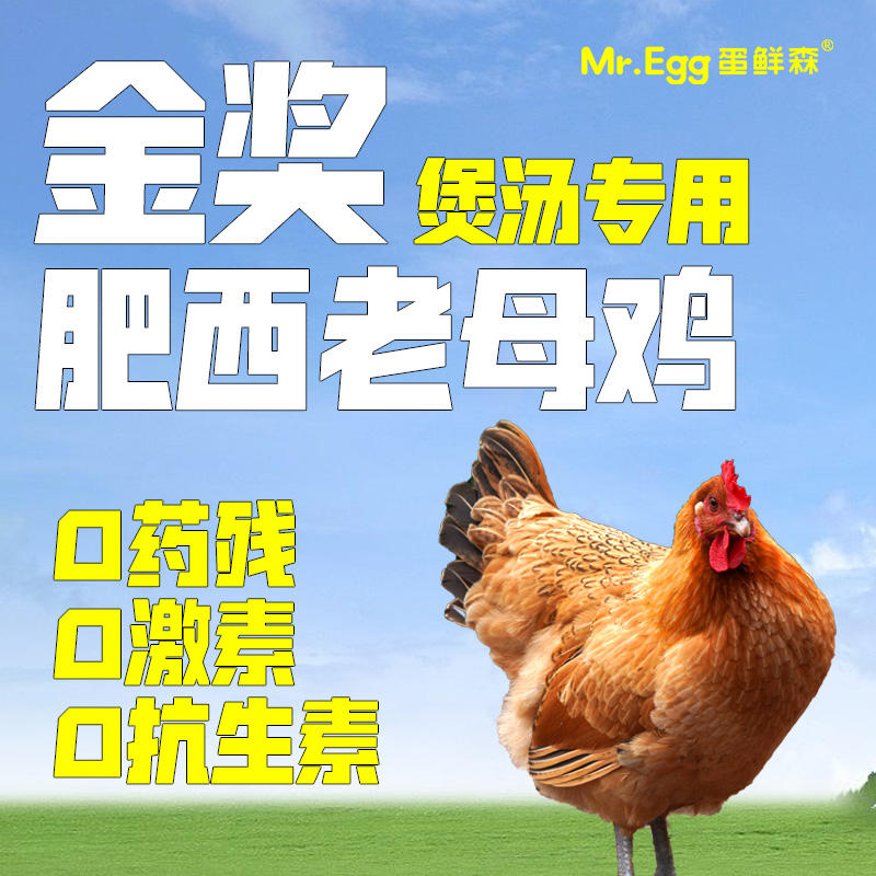 【DXS】蛋鲜森金奖肥西老母鸡1100g