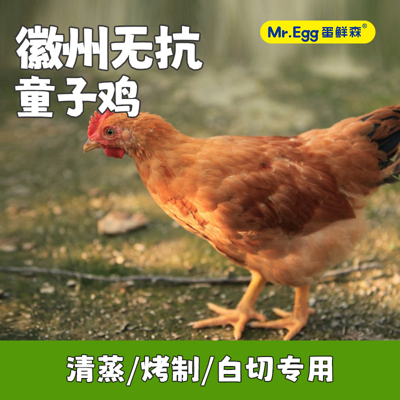【DXS】蛋鲜森徽州童子鸡2只 900g*2