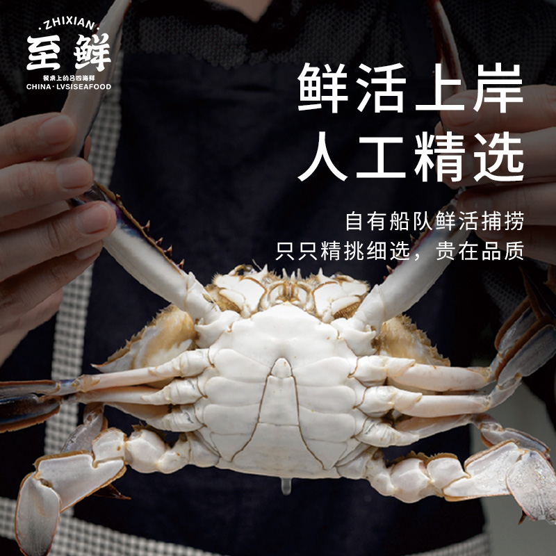 【SHJY】至鲜 吕四冰鲜梭子蟹1.3kg10-12只（精品A类）