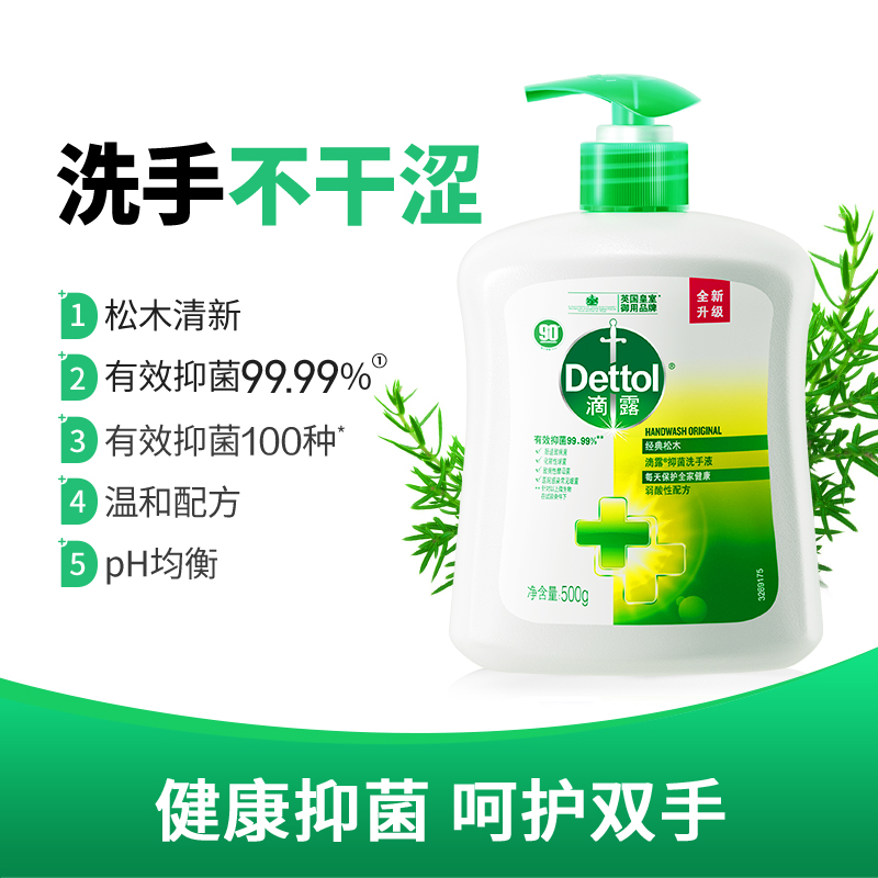 【LJ】滴露（Dettol）健康抑菌洗手液松木清新500g瓶 消毒抑菌非补充装 儿童家庭用清爽去油