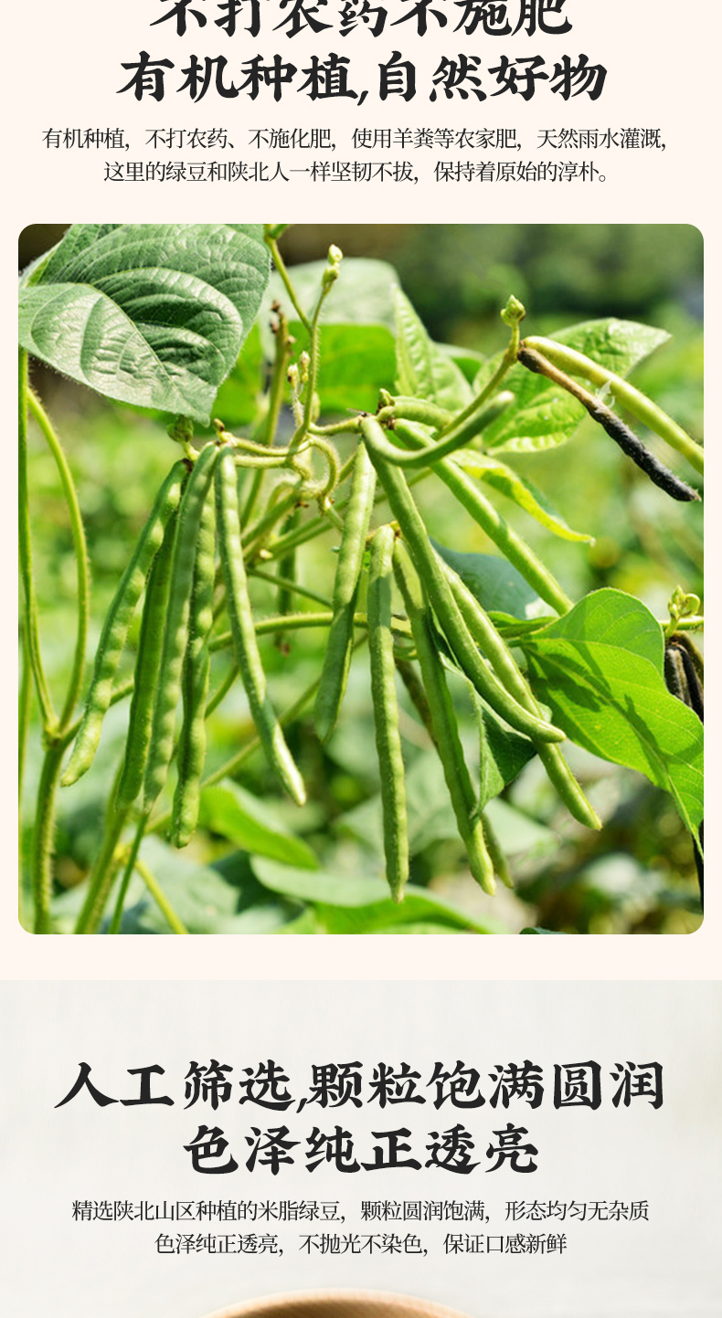 绿豆自立袋_05.jpg