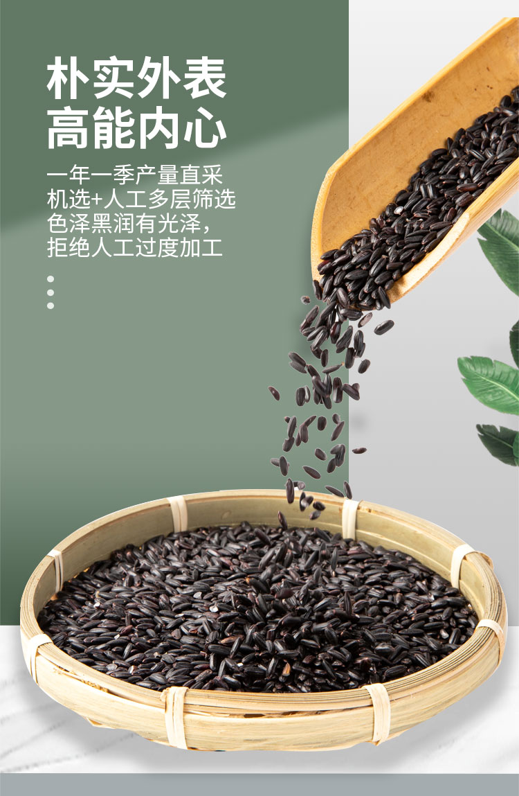 黑米_03.jpg