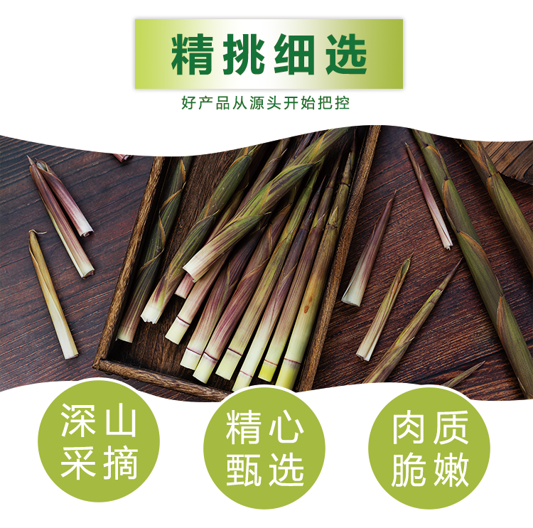 干竹笋_03.png