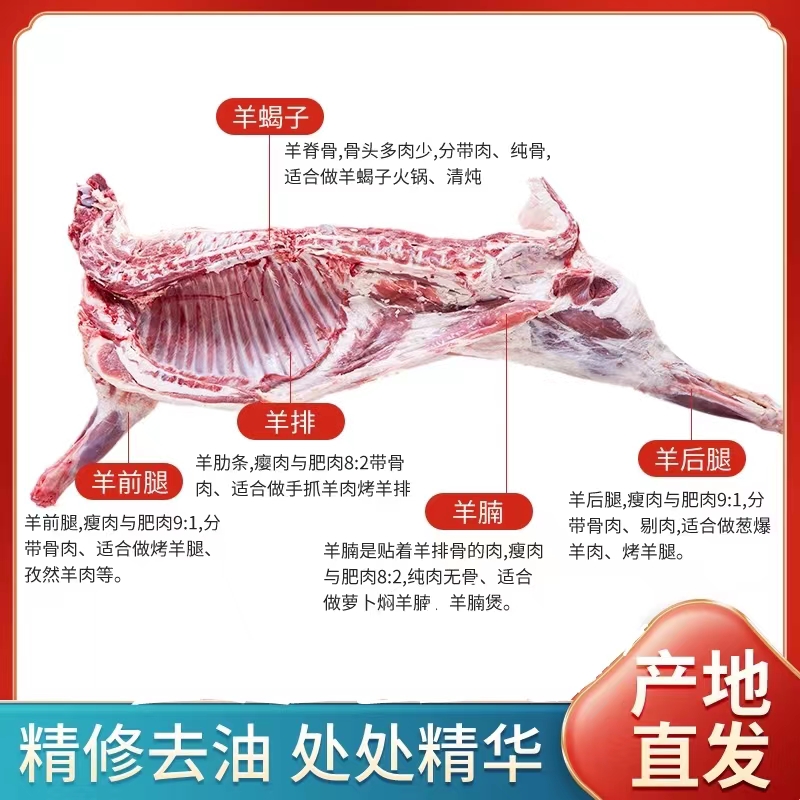 陕北羊肉 45-55斤/只