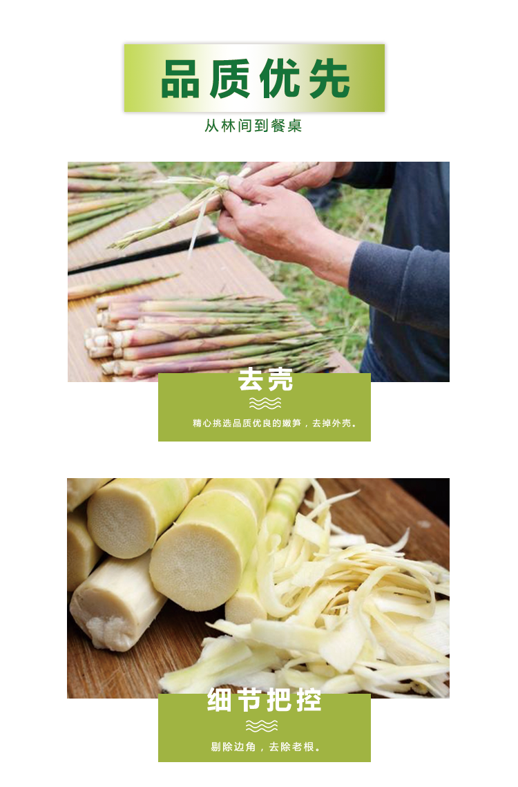干竹笋_05.png