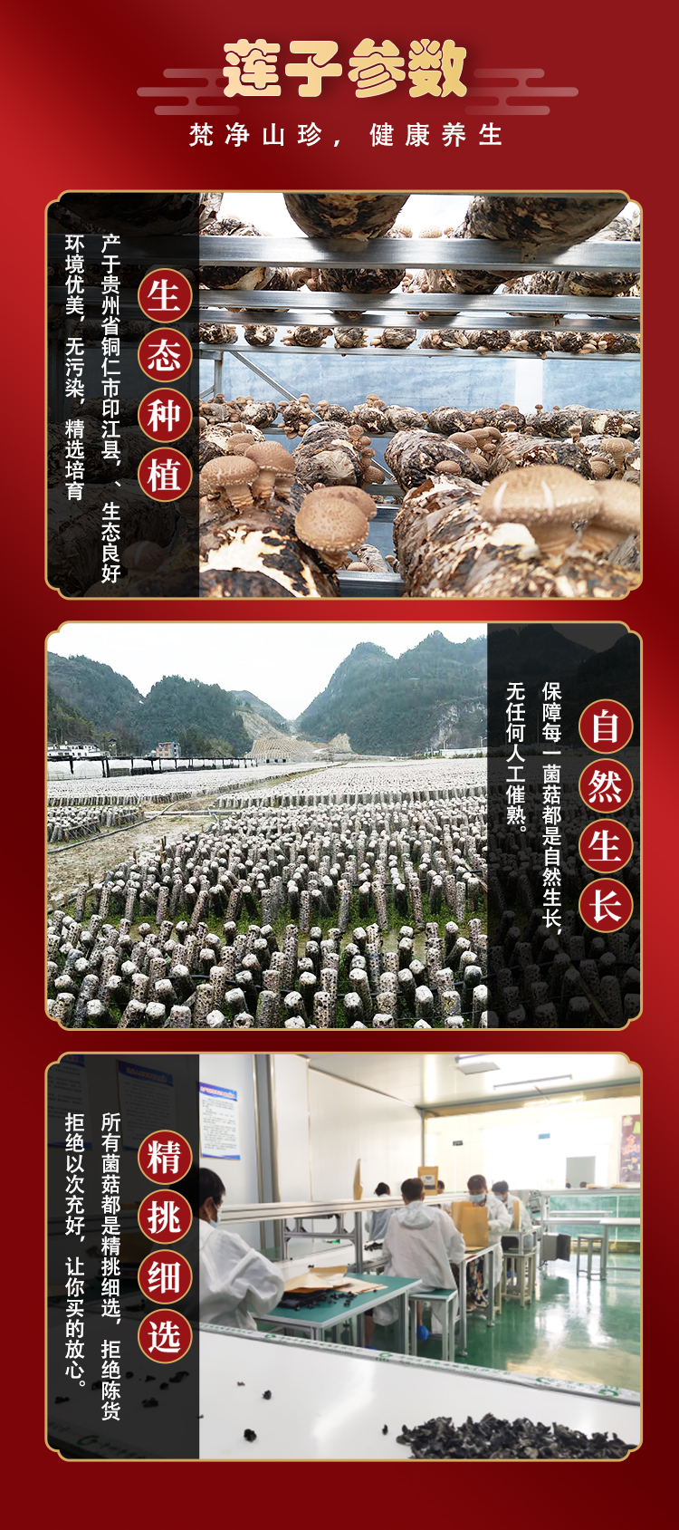 五菇丰登礼盒B_06.jpg