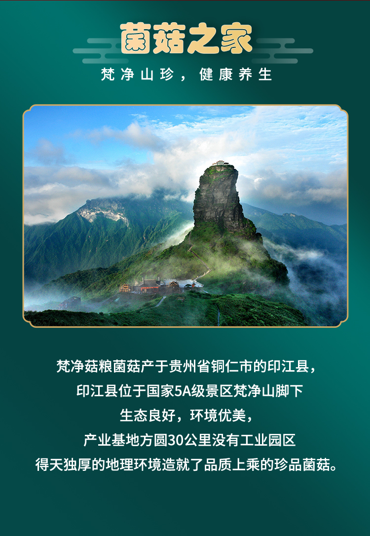 五菇丰登礼盒B_03.jpg