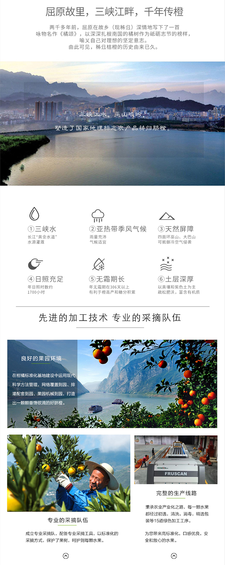 橙子详情页_02.jpg