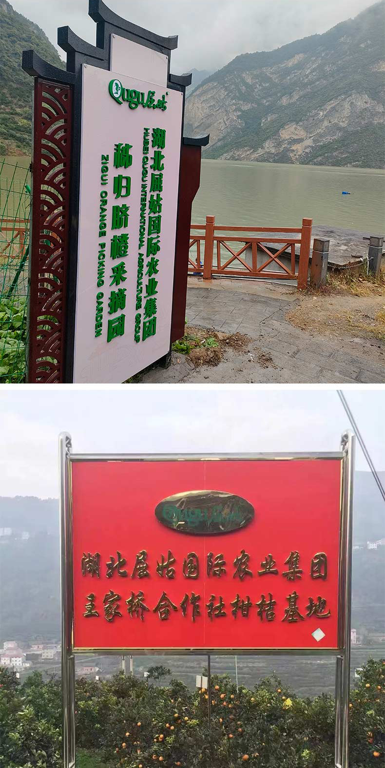 橙子详情页_05.jpg