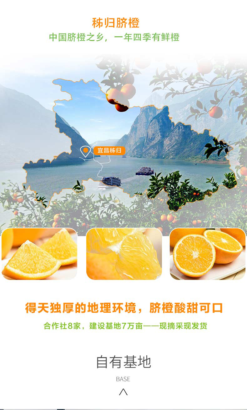 橙子详情页_04.jpg
