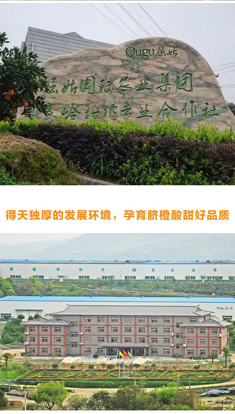 橙子详情页_06.jpg