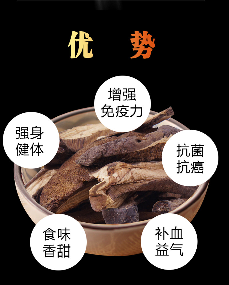 牛肝菌5.jpg