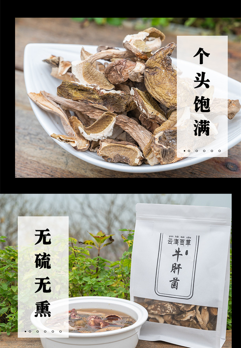 牛肝菌2.jpg