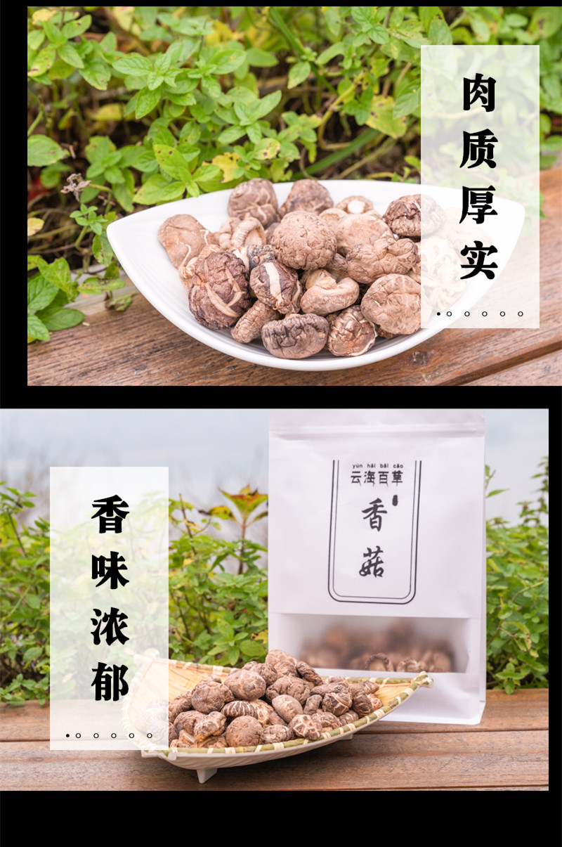 香菇3.jpg