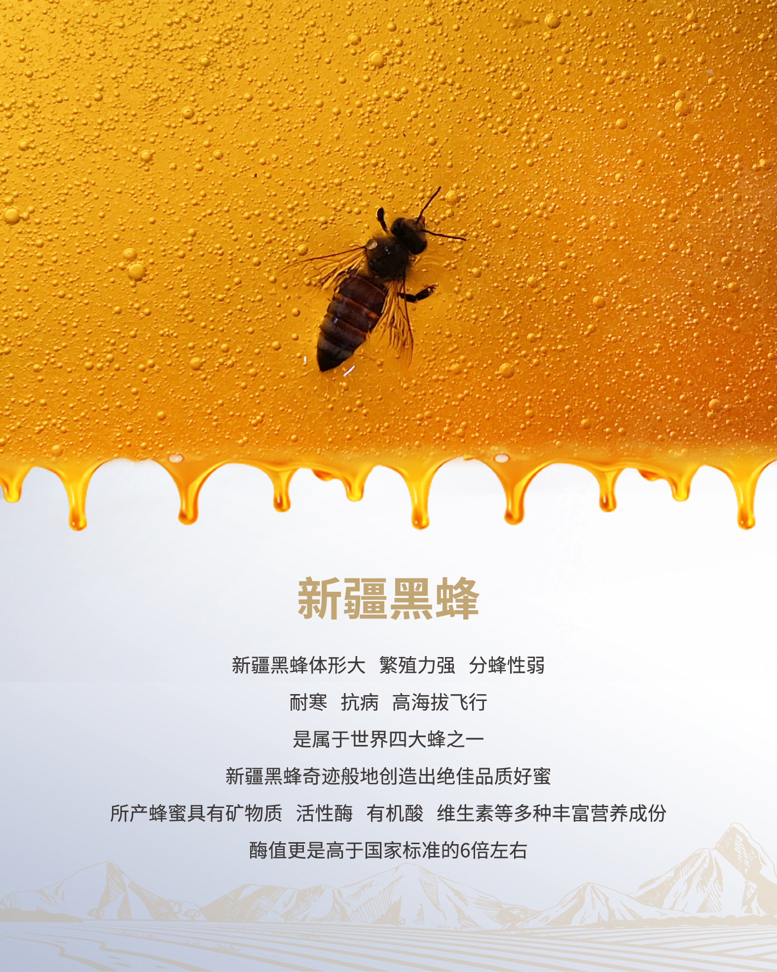 详情页1-3-04.jpg