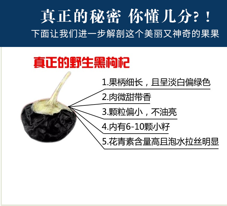 未标题-7_12.jpg