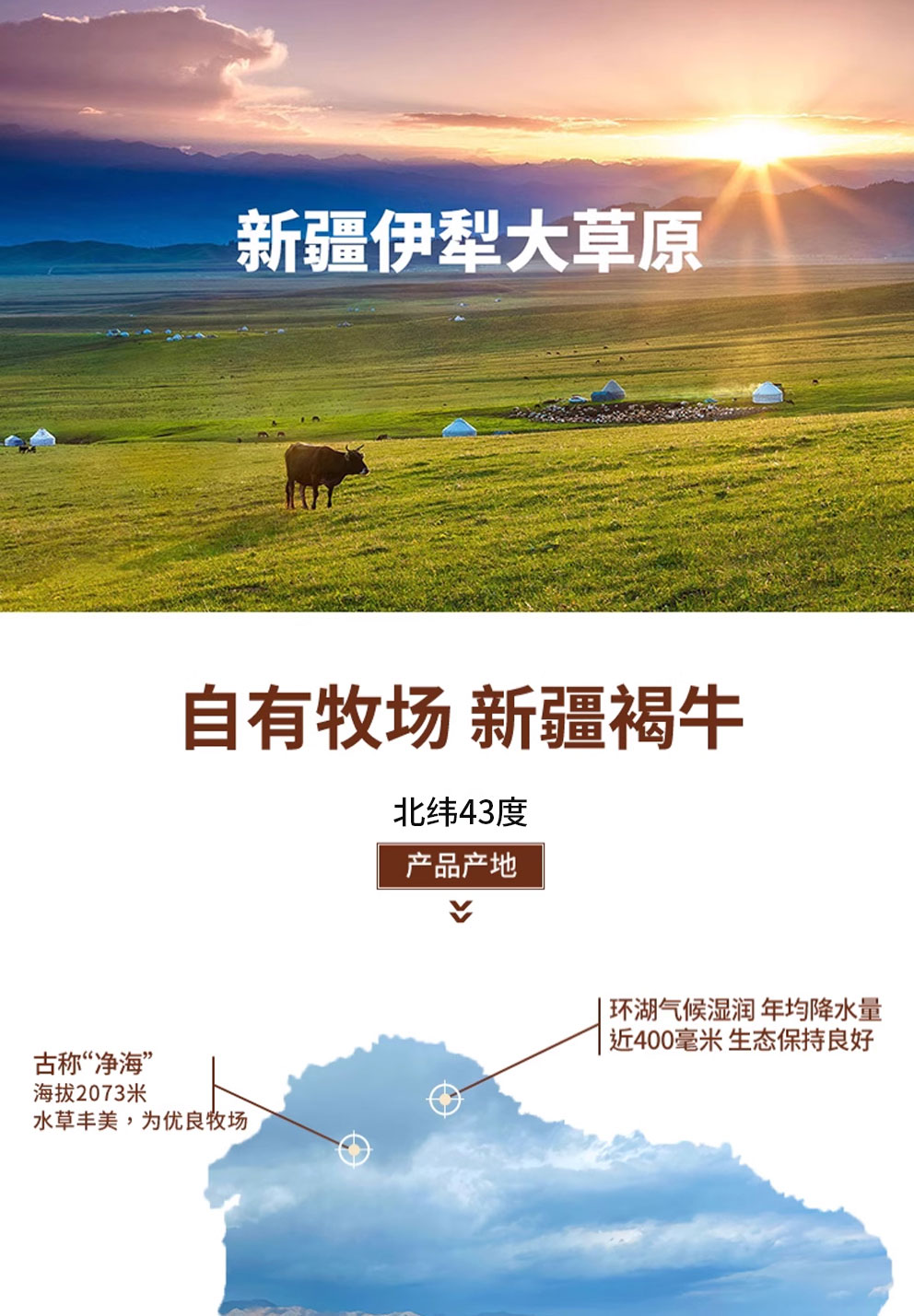 牛肉礼盒E-1_01.jpg