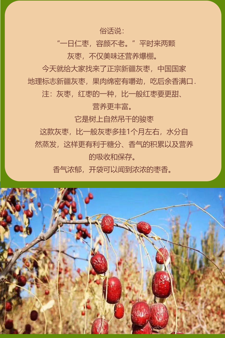 未标题-3_05.jpg