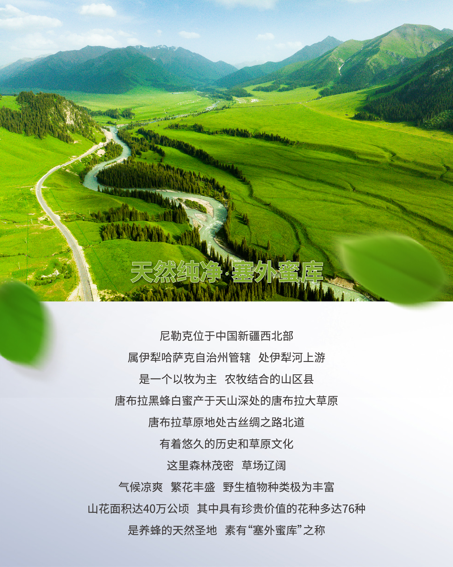 详情页1-3-03.jpg