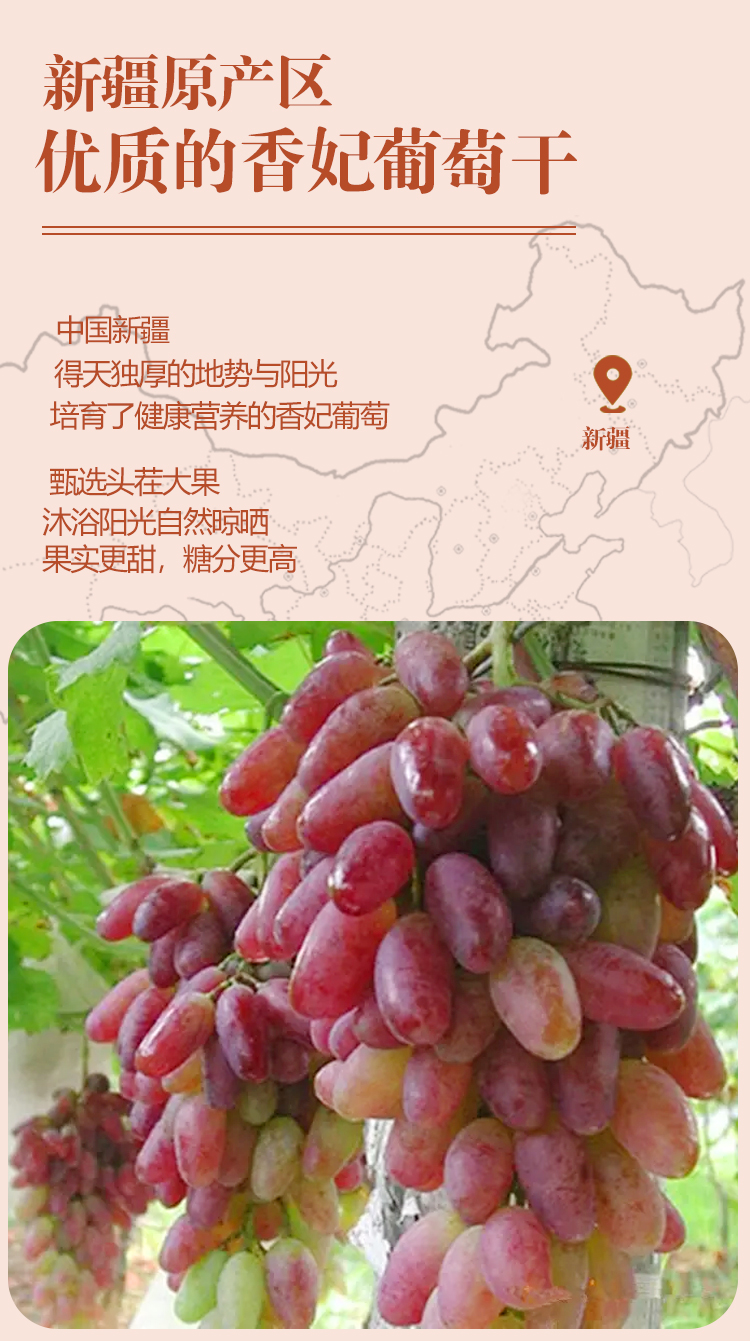 未标题-7_02.jpg