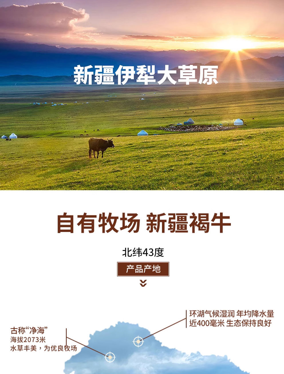 牛肉礼盒D_01.jpg