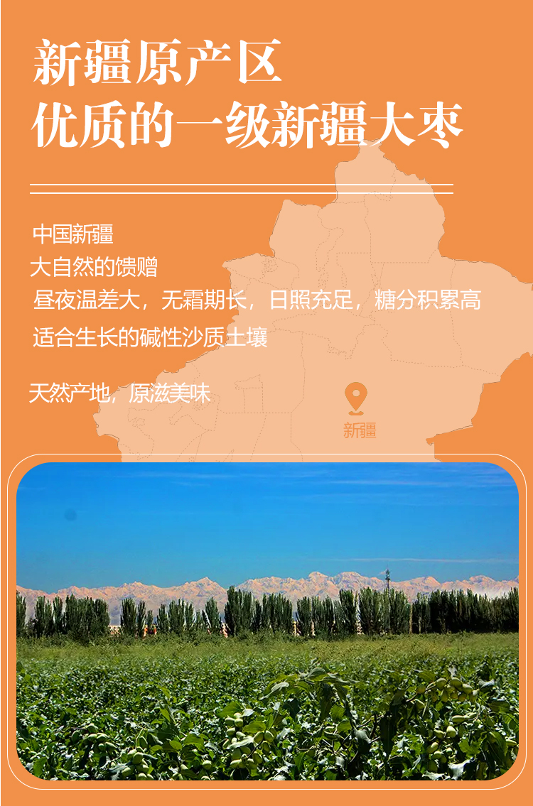 未标题-3_02.jpg