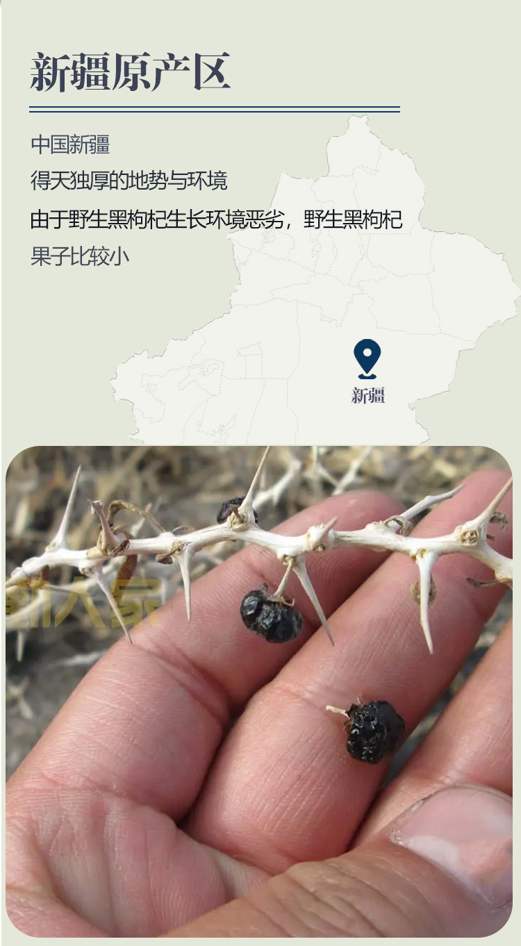 未标题-7_02.jpg