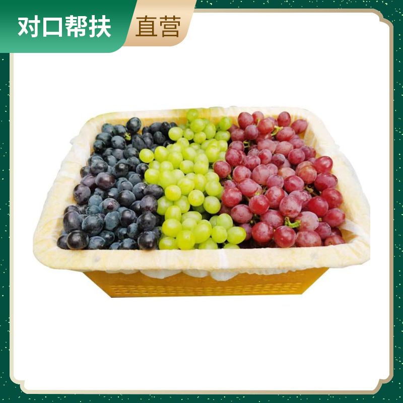 【乡村振兴 · 消费助农 · 产地直发】新疆三拼葡萄（玻璃脆+无核紫+无核白）4斤