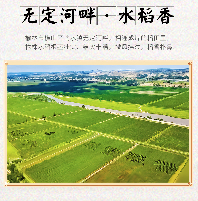 详情新版_02.jpg