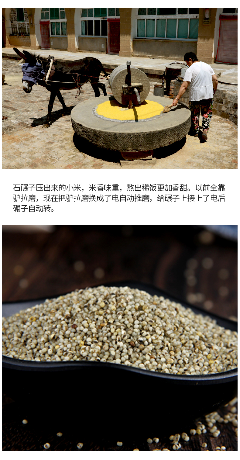红豆绿豆黑小米黑豆黄豆_04.jpg