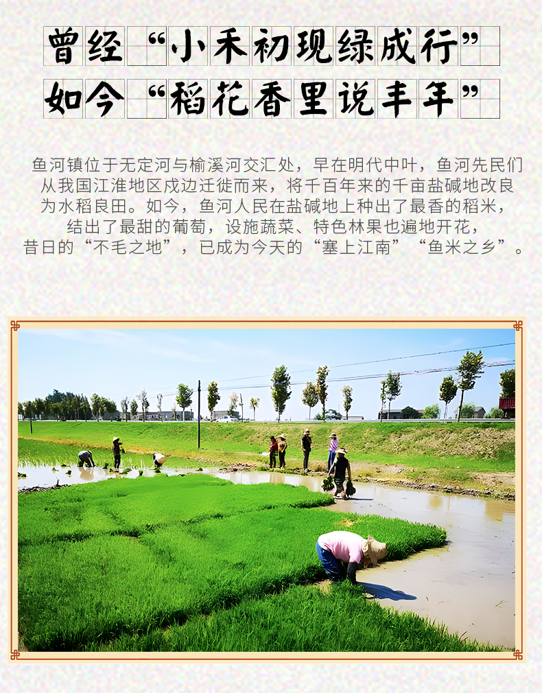 详情新版_05.jpg