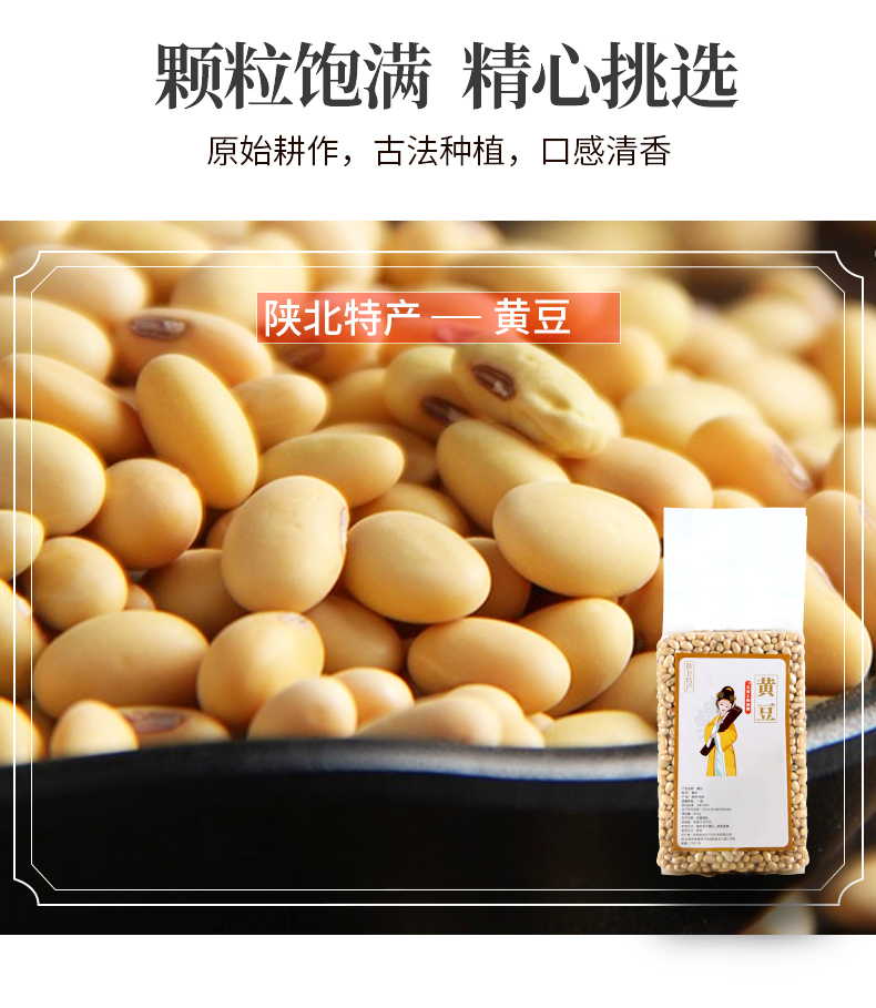 红豆绿豆黑小米黑豆黄豆_10.jpg