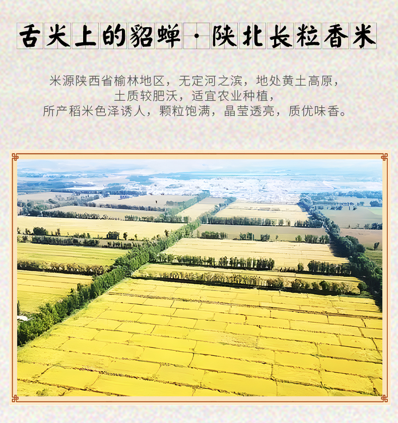 详情新版_04.jpg