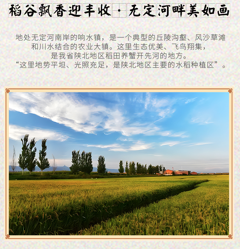 详情新版_03.jpg
