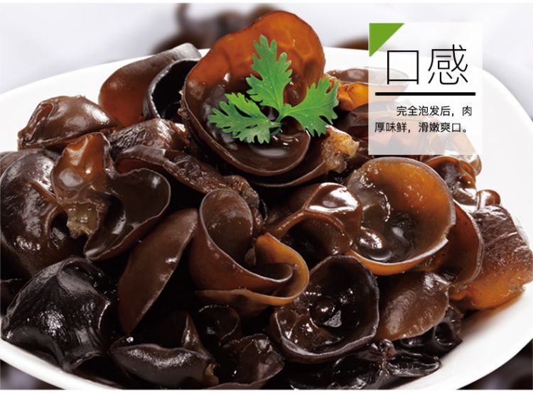 木耳_10.jpg