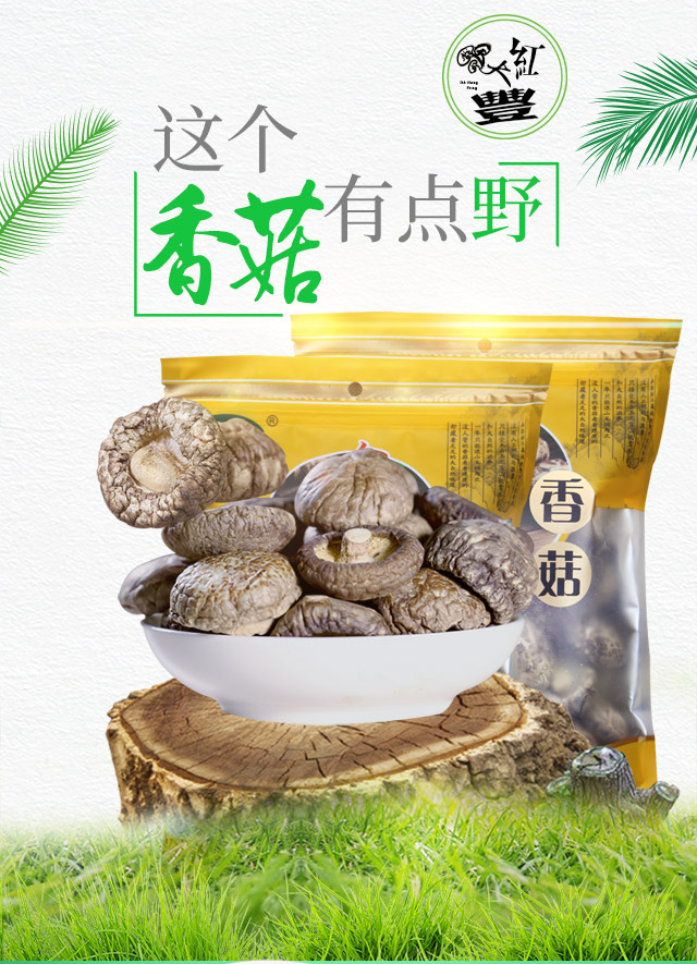香菇_01.jpg
