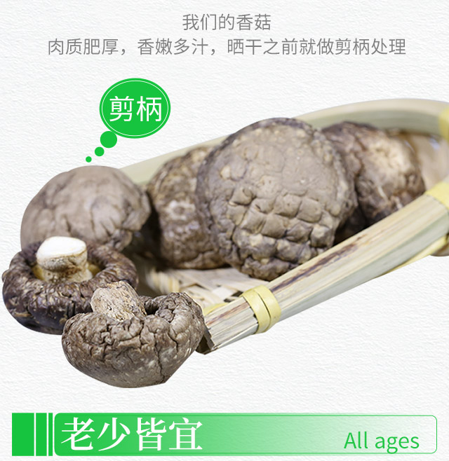 香菇_04.jpg