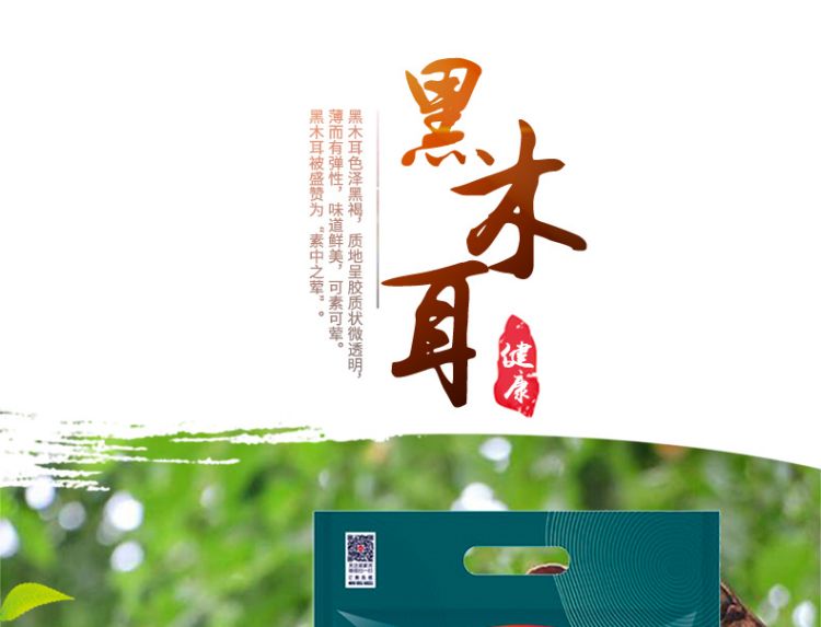 木耳_01.jpg