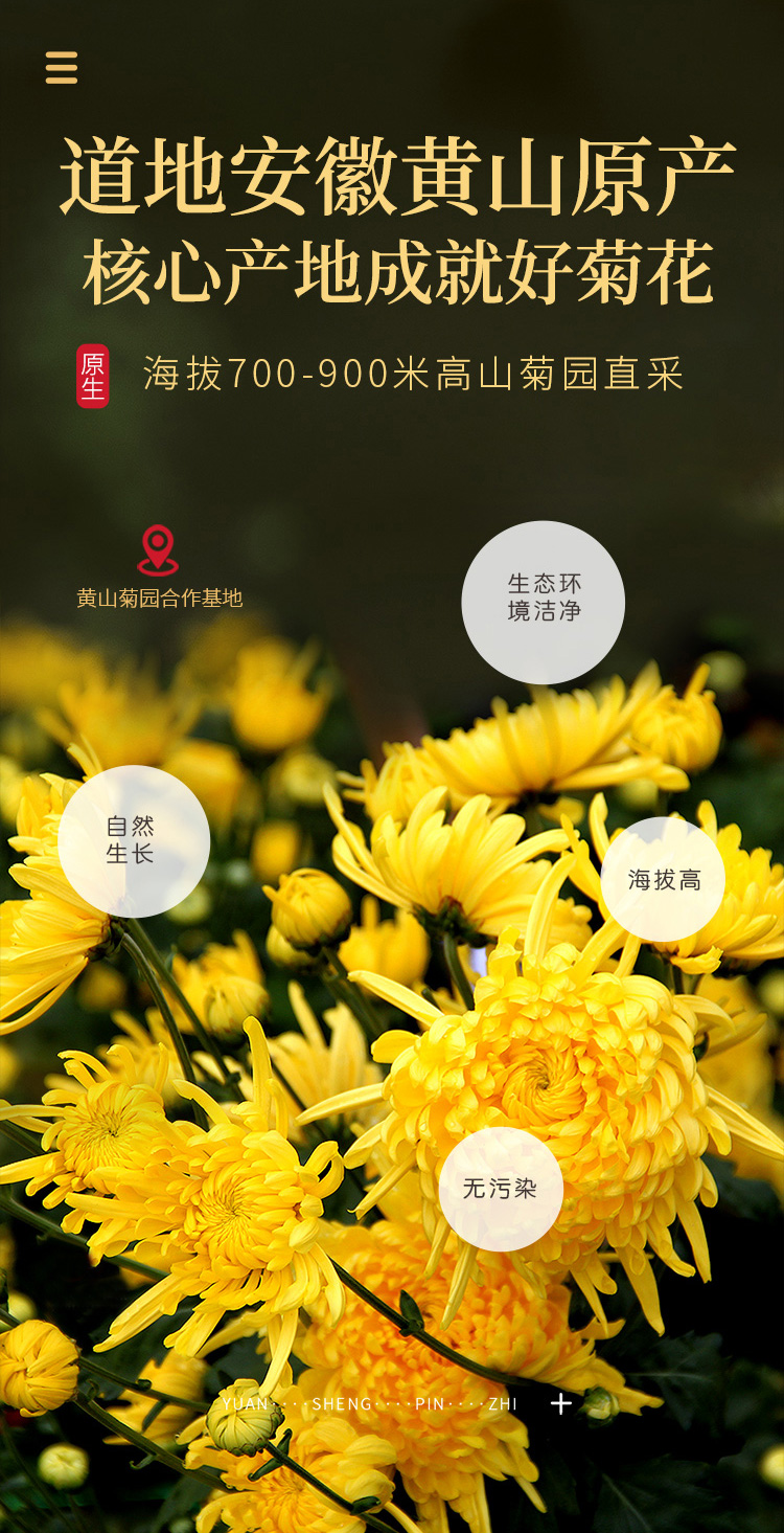 金丝皇菊铁罐详情_06.jpg