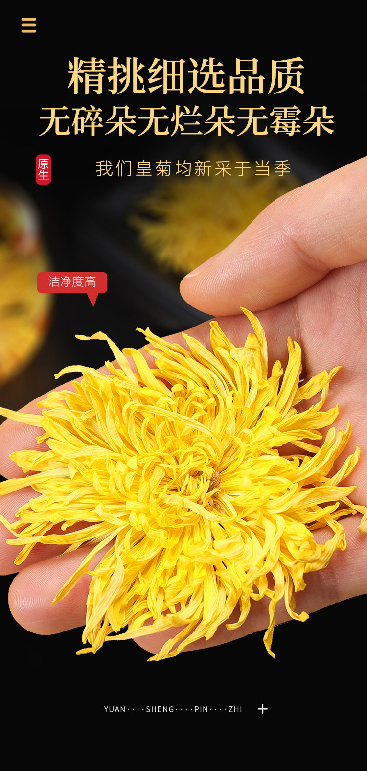 金丝皇菊铁罐详情_10.jpg