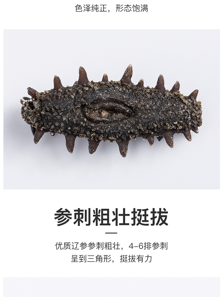 净制干海参100_06.jpg