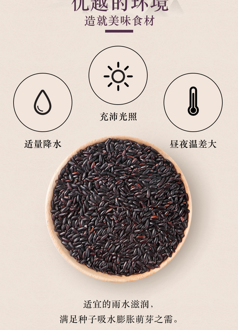 柴火大院_黑米_03.jpg