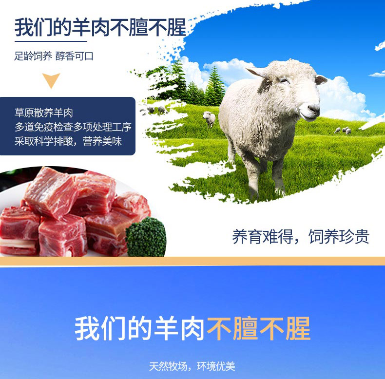 羊肉B_03.jpg