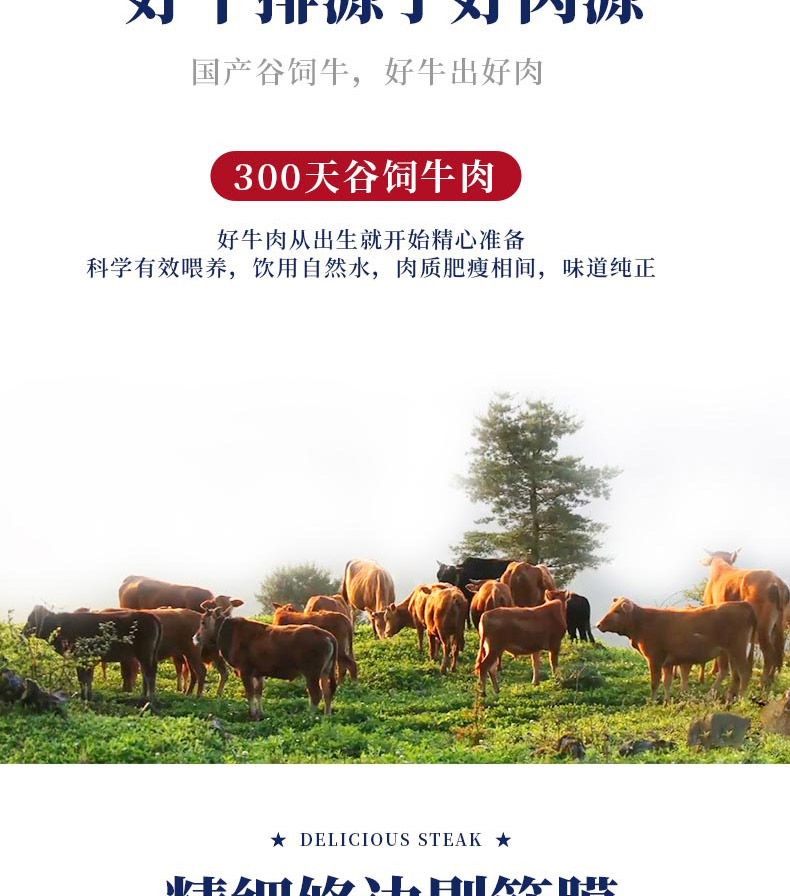 调理牛排A_05.jpg